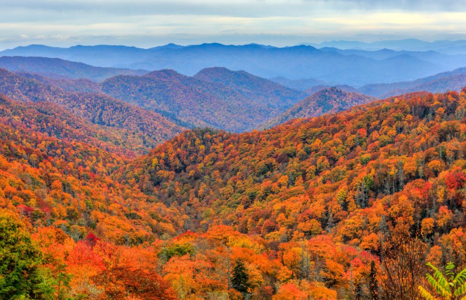 Great Smoky Mountains National Park (North Carolina/Tennessee)